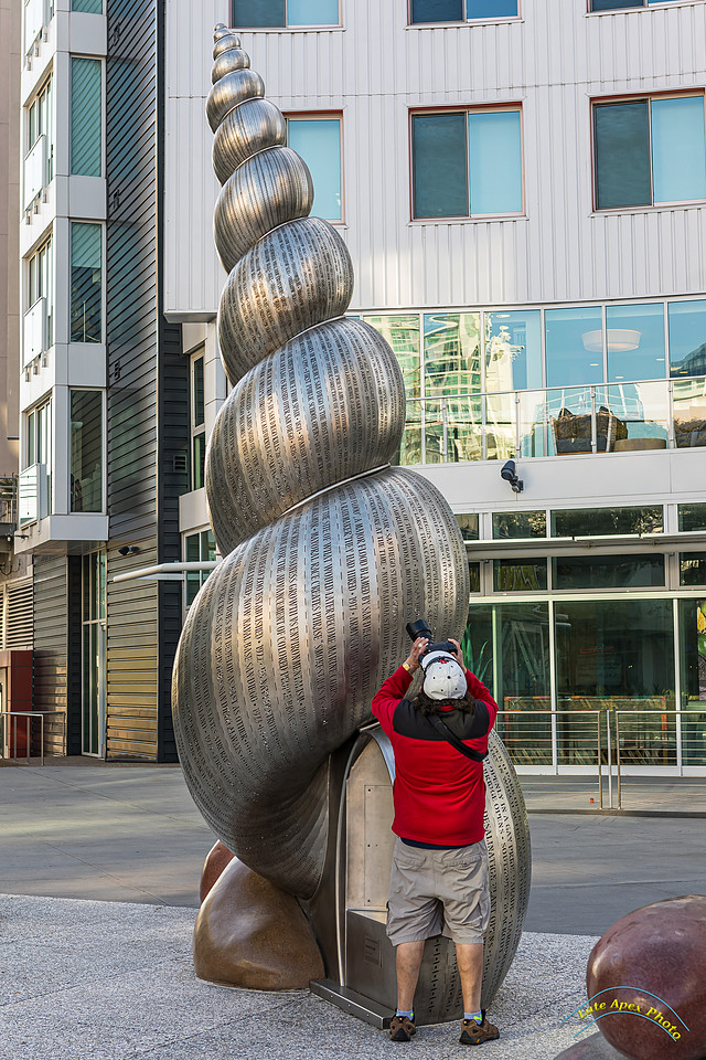 IMAGE: https://lateapexphoto.com/img/s/v-10/p4124029631-6.jpg